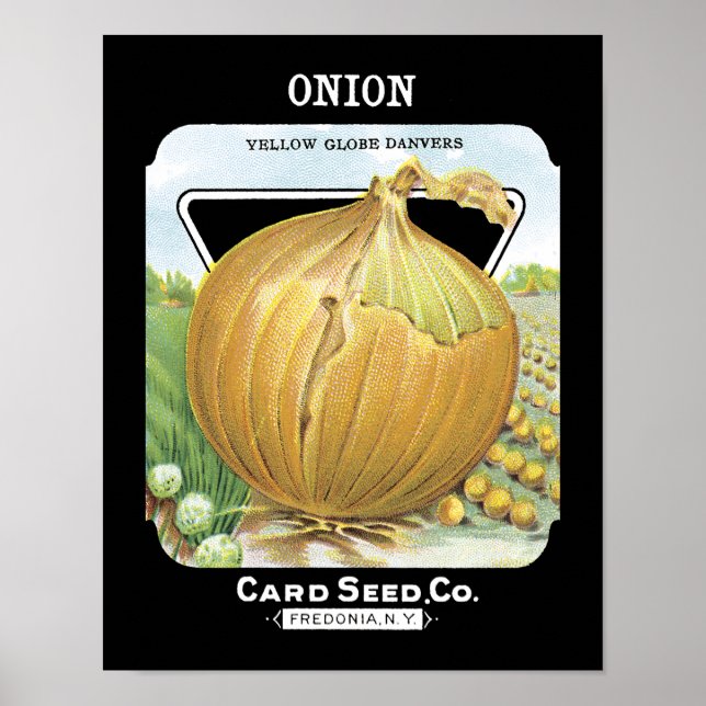 Onion Seed Packet Label Poster (Front)