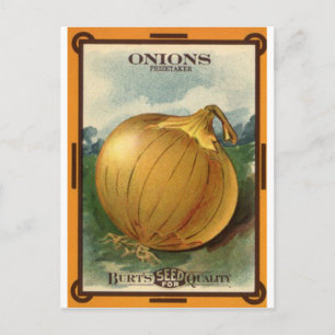 onion seed packet postcard