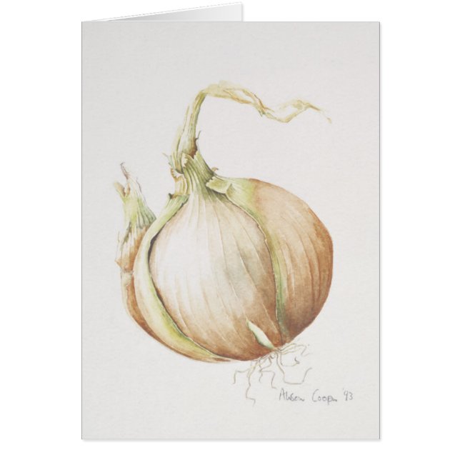 Onion Study 1993 (Front)