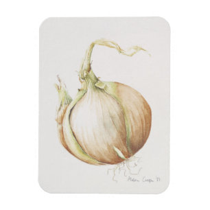Onion Study 1993 Magnet