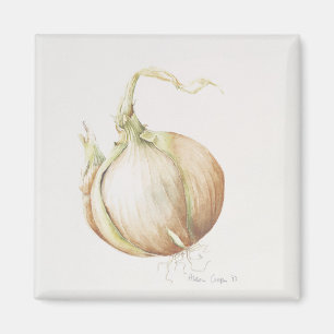 Onion Study 1993 Magnet
