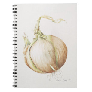 Onion Study 1993 Notebook