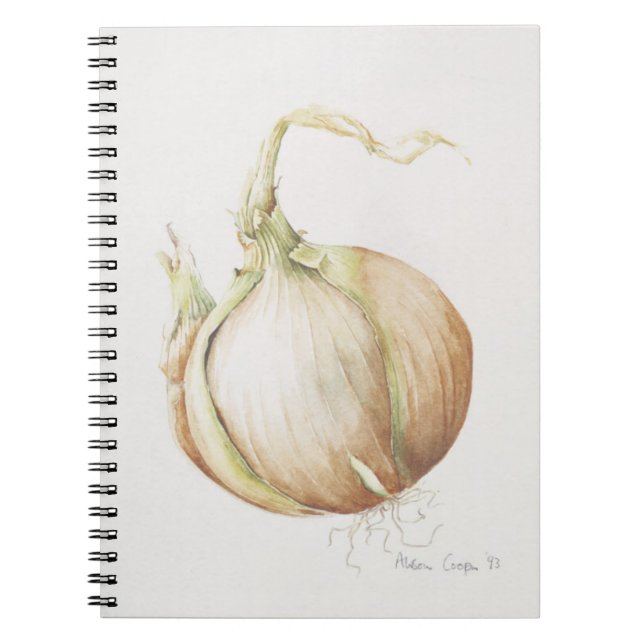 Onion Study 1993 Notebook (Front)