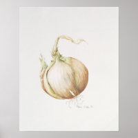 Onion Study 1993