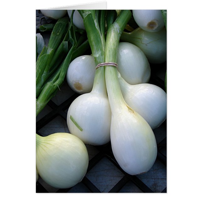 Onions at the Farmer's Market (Front)