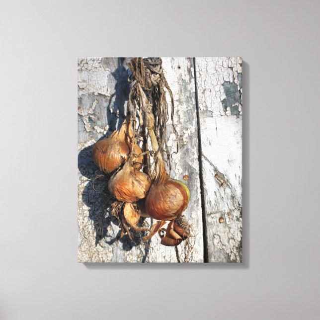 ONIONS CANVAS PRINT (Front)