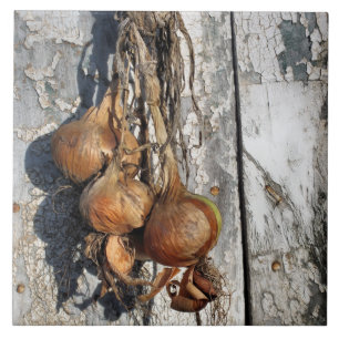 ONIONS CERAMIC TILE
