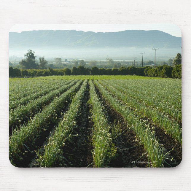 Onions growing in field mouse pad (Front)