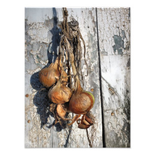 ONIONS PHOTO PRINT
