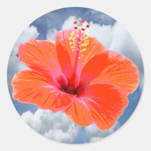 Only a Hibiscus Blossom + your text & ideas Classic Round Sticker