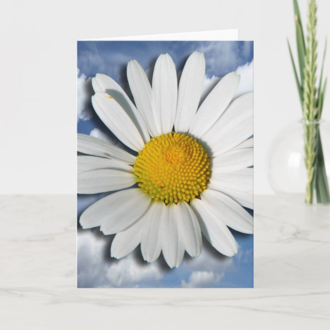 Only a Marguerite Blossom + your text & ideas Card (Front)