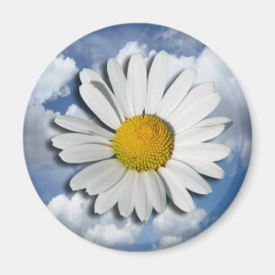 Only a Marguerite Blossom + your text & ideas Magnet