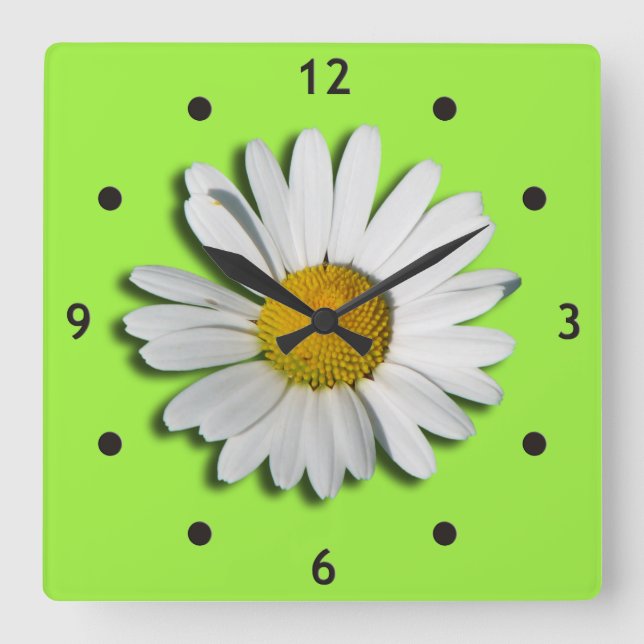Only a Marguerite Blossom + your text & ideas Square Wall Clock (Front)