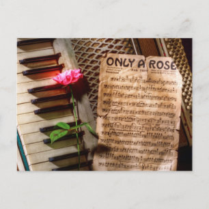 Only a Rose II Postcard