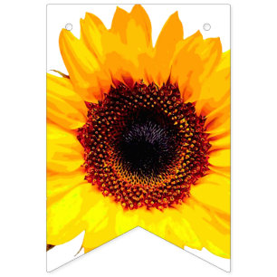 Only a Sunflower Blossom + your backgr. & ideas Bunting
