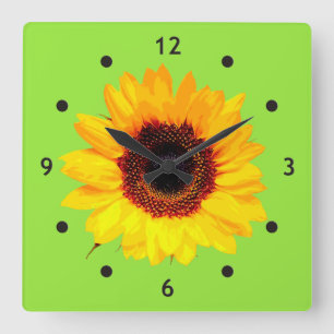 Only a Sunflower Blossom + your text & ideas Square Wall Clock