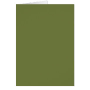 ONLY COLOR - olive green