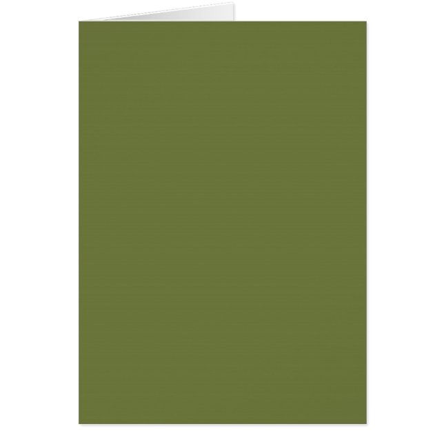 ONLY COLOR - olive green (Front)