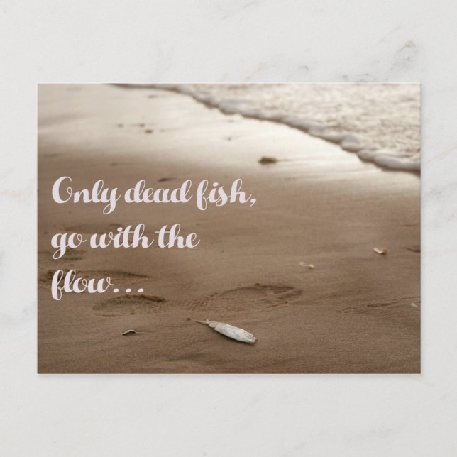 Only dead fish go with the flow - Funny Quote Postcard (Front)