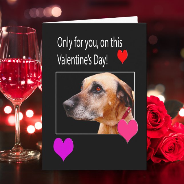Only For You On Valentine's Rhodesian Ridgeback Holiday Card (Creator Uploaded)