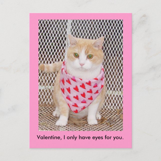 Only have eyes for you. holiday postcard (Front)