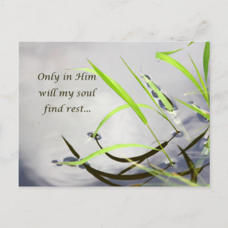 Only in Him Postcard