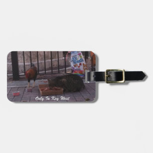 "Only In Key West" Cat & Rooster Luggage Tag