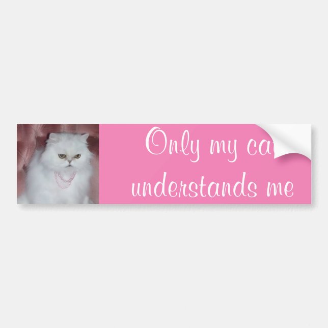 Only My Cat Understands Me Bumper Sticker Persian (Front)