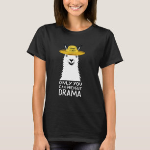 Only You Can Prevent Drama Llama Camping Vintage F T-Shirt