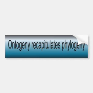 Ontogeny Recapitulate Phylogeny Bumper Sticker