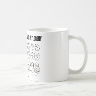 Ontogeny Recapitulates Phylogeny (Biology) Coffee Mug
