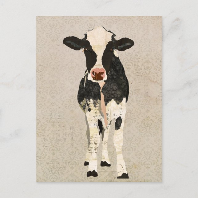 Onyx & Ivory Cow Postcard (Front)