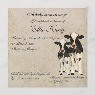 Onyx & Ivory Cows Baby Invitation