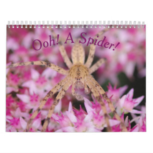 Ooh, A Spider! Calendar