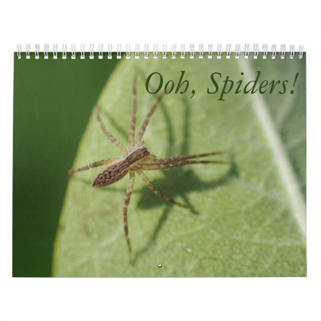 Ooh, Spiders! Calendar (Cover)