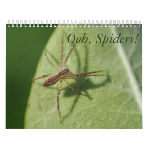Ooh, Spiders! Calendar