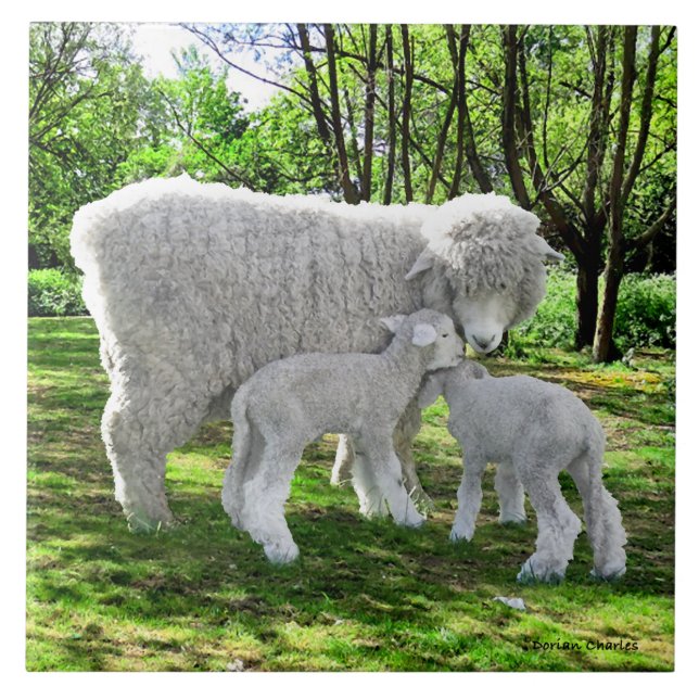 "Oona & Her Twins"  Ceramic Tile (Front)