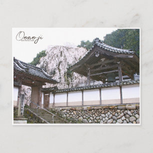 Oono-ji (Temple of Shingon sect Muro-ji school) Postcard