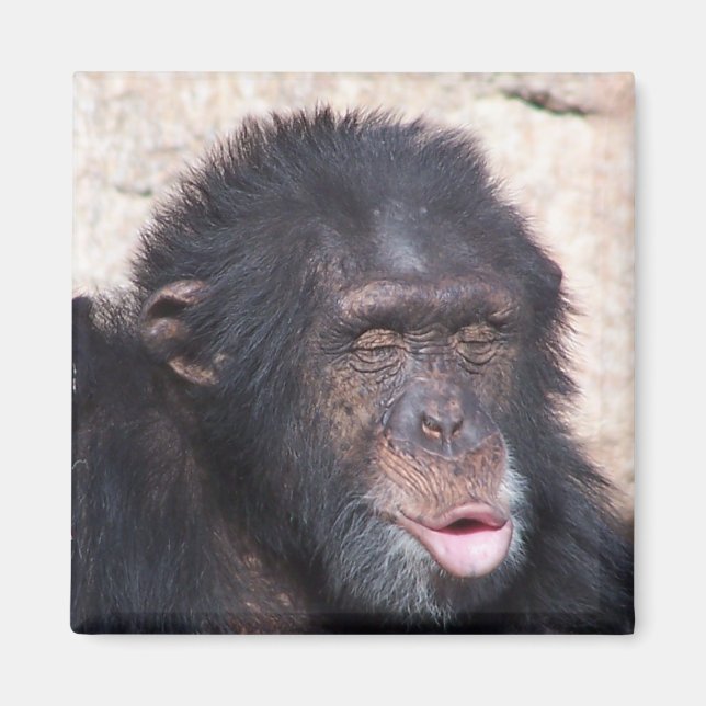 ooo ooo ooo funny face magnet (Front)