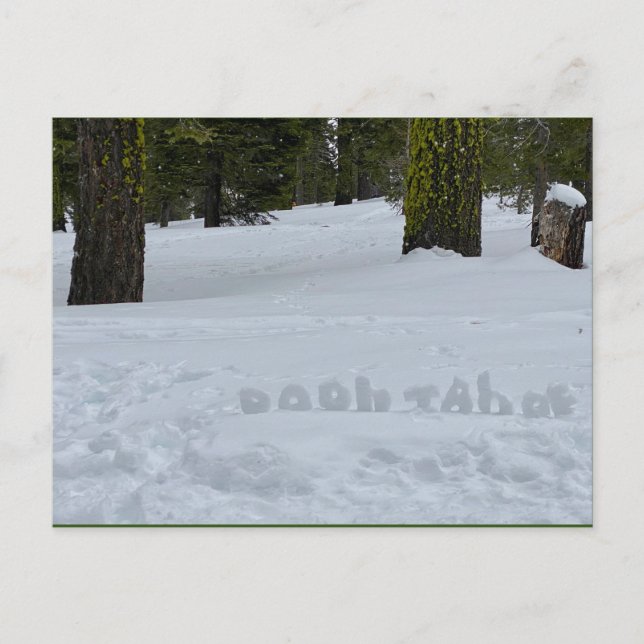 Oooh Tahoe Postcard (Front)