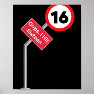 Oops I Hit Sixteen Funny 16th Birthday Boy Girl Ne Poster