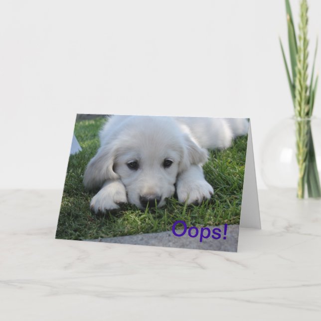 Oops, I'm Sorry apology card (Front)