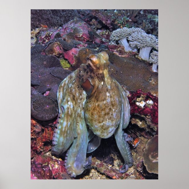 Oozing Octopus Portrait Poster (Front)