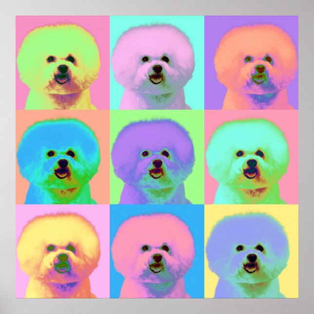 Op Art - Bichon Frise - Cody Poster (Front)