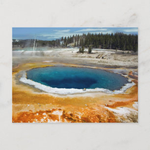 Opal Pool Postcard