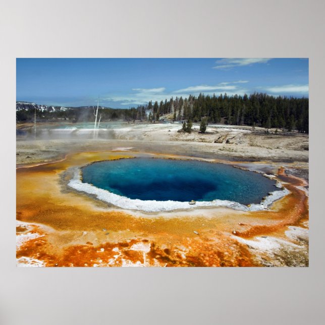 Opal Pool Poster (Front)