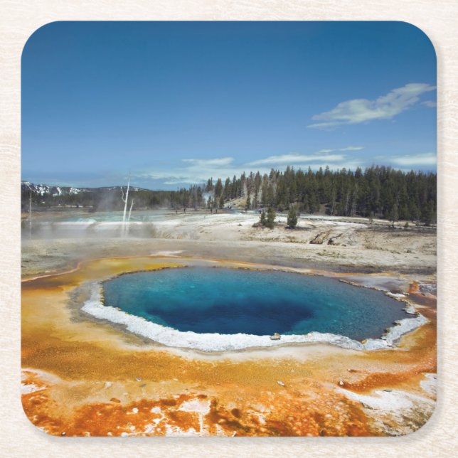 Opal Pool Square Paper Coaster (Front)