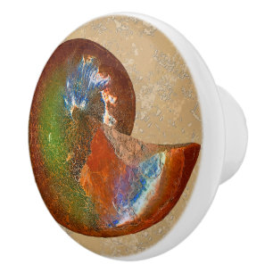 Opalised Sphenodiscus Lenticularis Ammonite Knobs