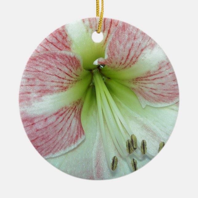 Open Amaryllis Apple Blossom Ceramic Tree Decoration (Front)
