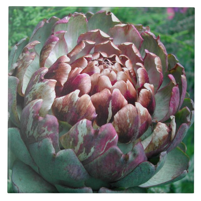 Open Artichoke. Tile (Front)